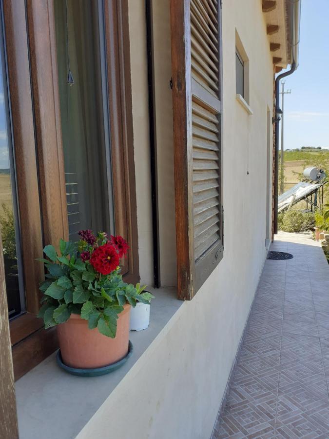 Agriturismo Enjoy Sunset Cinigiano ภายนอก รูปภาพ